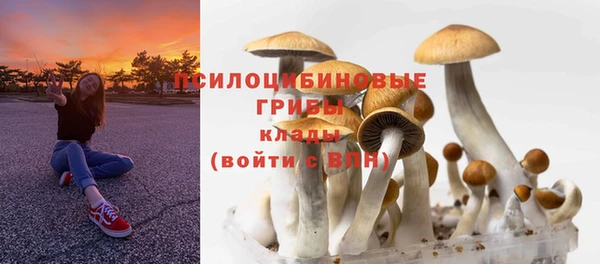 ALPHA-PVP Осташков