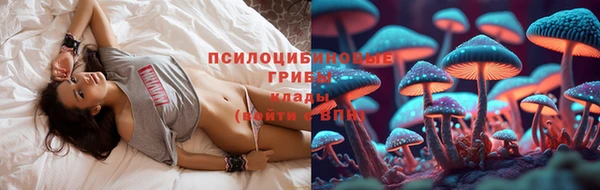 молекула духа Переславль-Залесский