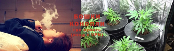 ECSTASY Пересвет