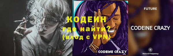 молекула духа Переславль-Залесский