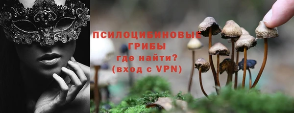ГАЛЛЮЦИНОГЕННЫЕ ГРИБЫ Пестово