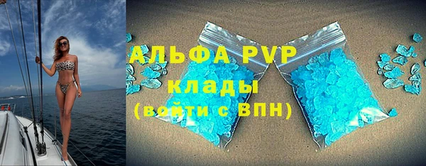 ECSTASY Пересвет