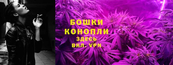 молекула духа Переславль-Залесский