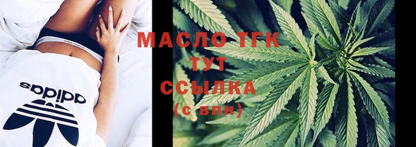ECSTASY Пересвет