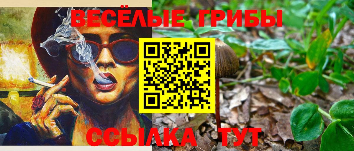 Галлюциногенные грибы мухоморы  Галлюциногенные грибы Psilocybine cubensis  Старая Русса  Вход с VPN 