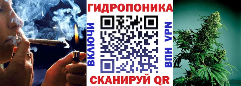 Бошки марихуана конопля Старая Русса