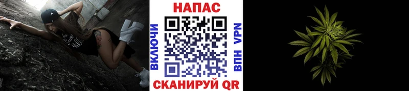 Канабис гибрид  Старая Русса 